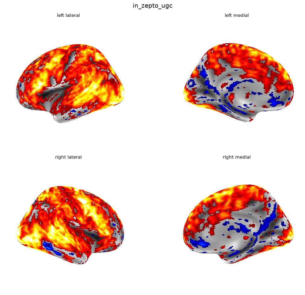 Predicted cortical activation map on an inflated brain surface, four views